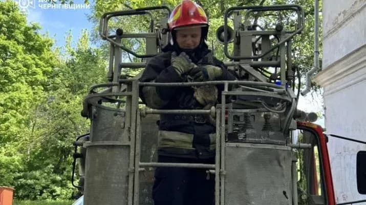 Пухнастик у біді: ніжинські рятувальники прийшли на допомогу
