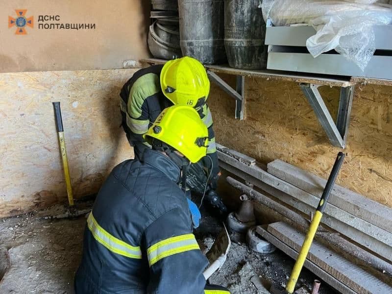 У Кременчуці під гаражем застряг собака (Доповнено)