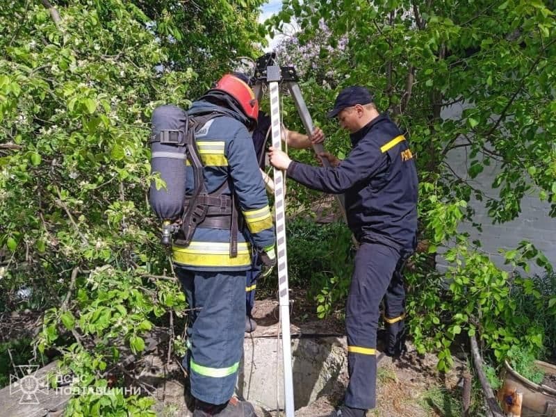 Один - в колодязі, другий - на гілляці: рятувальники мали клопіт з котами